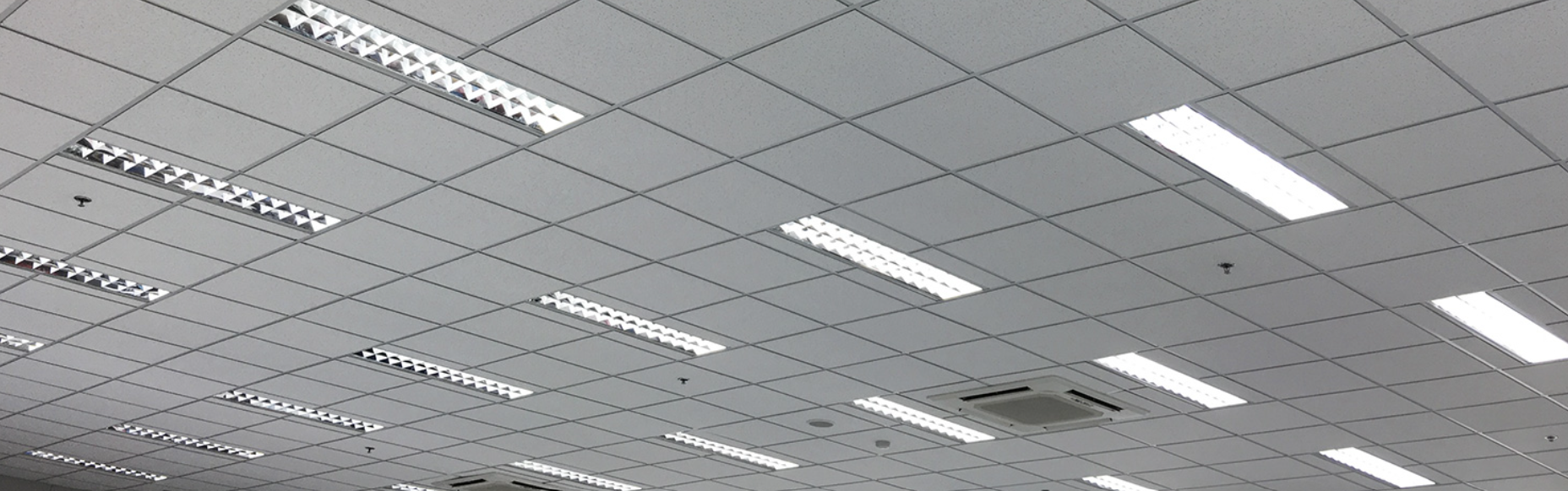 Suspended Ceilings commercial service